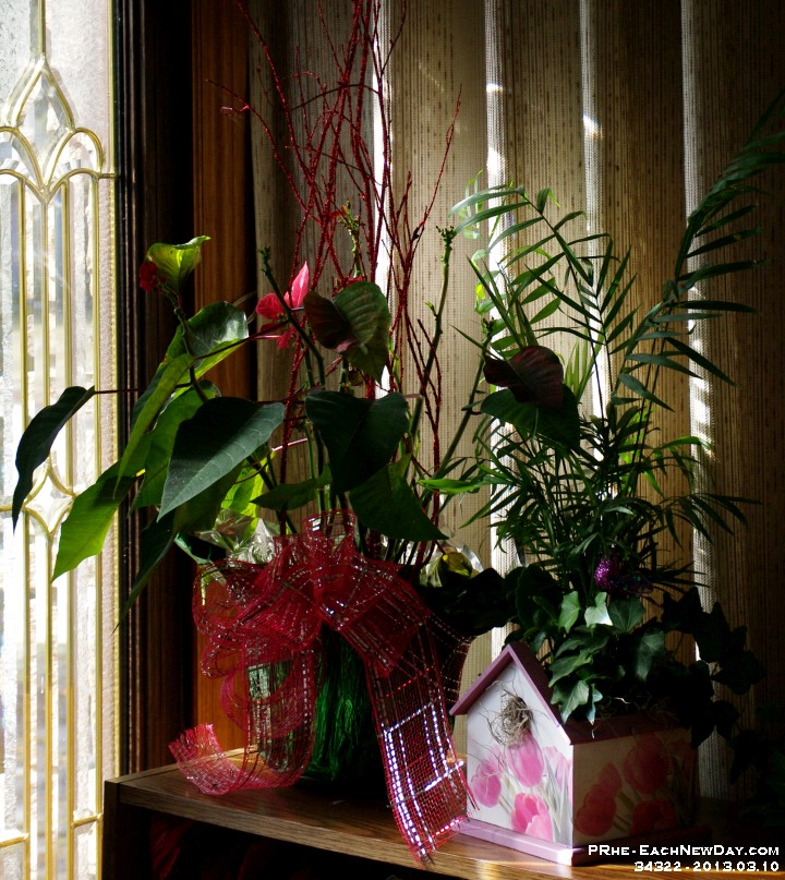 34322RoCrLe - Floral arrangement in the sun, on the bookshelf
